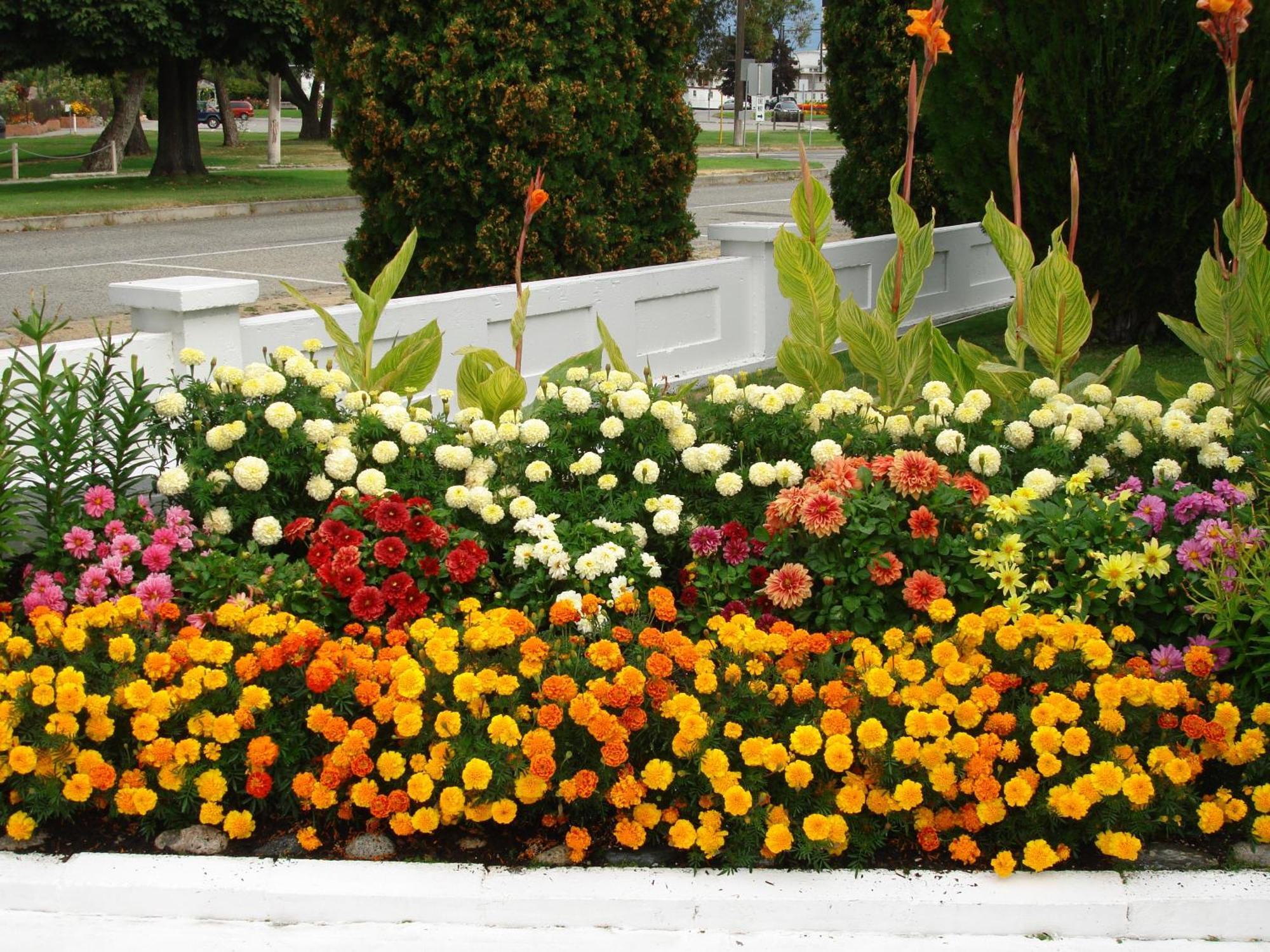 Riverside Motel Penticton Esterno foto
